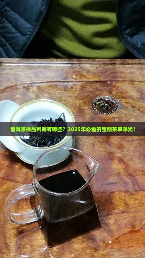 普洱茶极品有哪些
