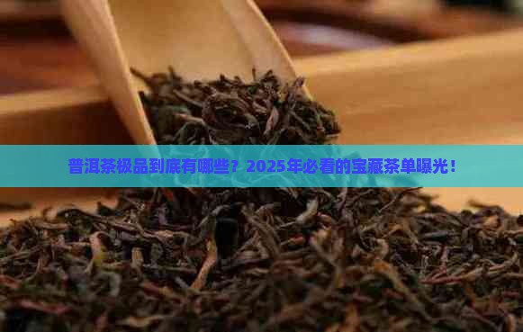 普洱茶极品有哪些
