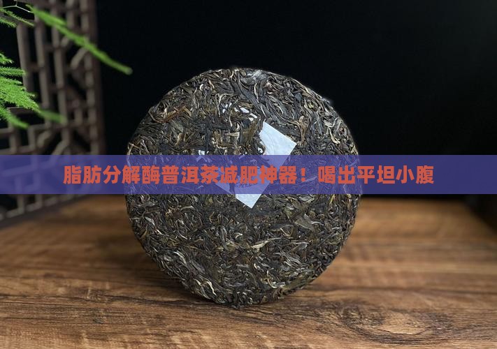 脂肪分解酶普洱茶