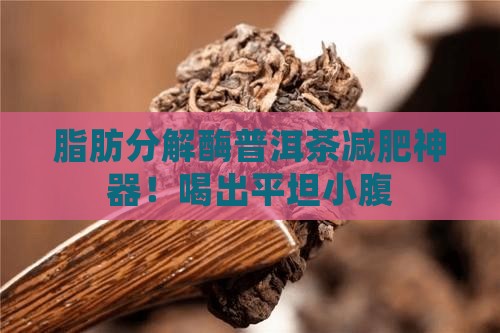 脂肪分解酶普洱茶