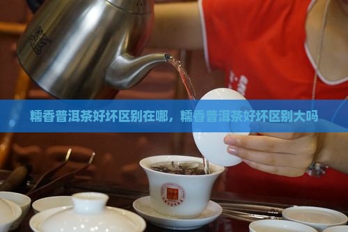糯香普洱茶好坏区别
