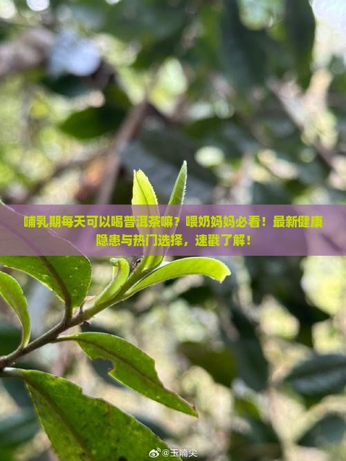 哺乳期每天可以喝普洱茶嘛