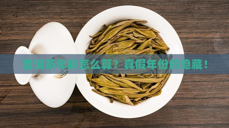 普洱茶年龄怎样计算