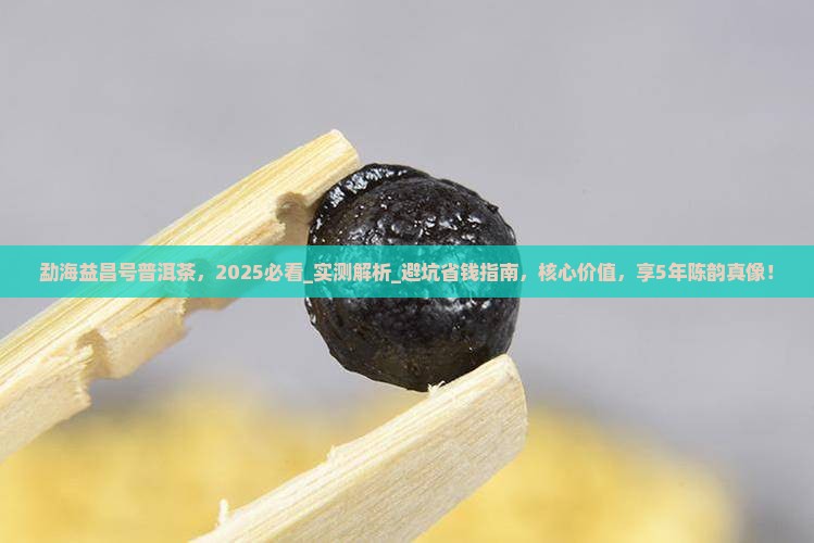 勐海益昌号普洱茶 勐海益昌号普洱茶