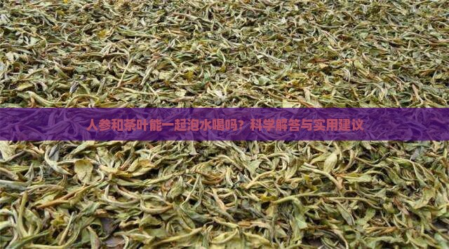 人参和茶叶能一起泡水喝吗