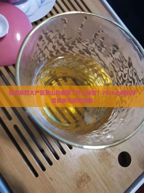 普洱茶四大产区茶山