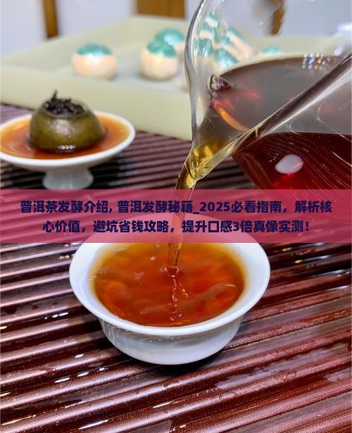 普洱茶发酵介绍