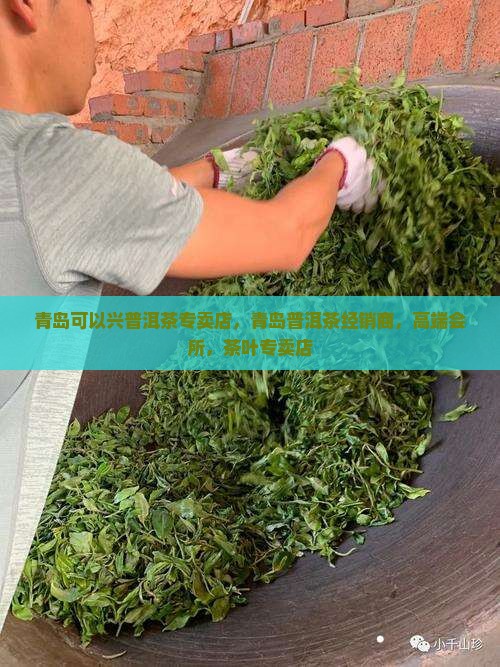 青岛可以兴普洱茶专卖店