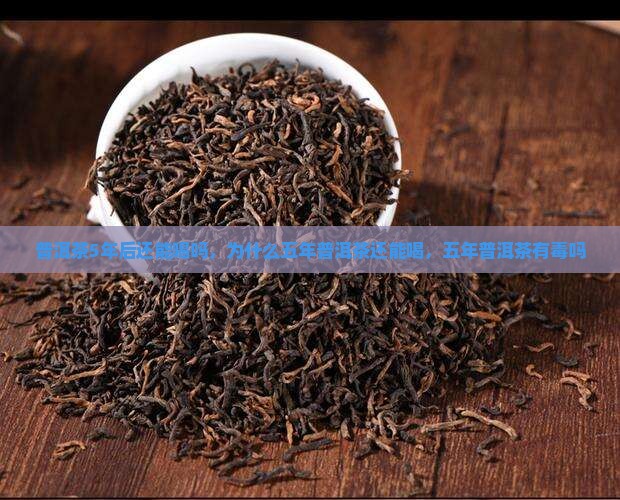 普洱茶5年后还能喝吗