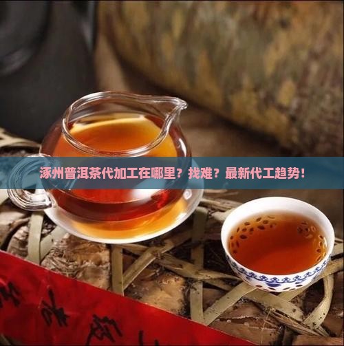 涿州普洱茶代加工工厂在哪里