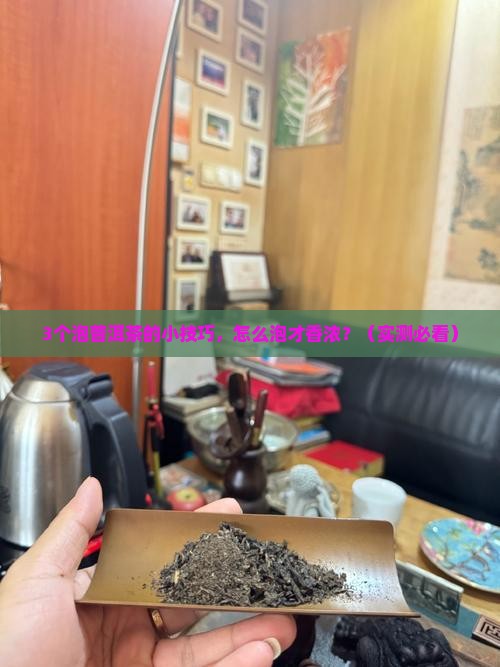 普洱茶怎么泡的香浓一点