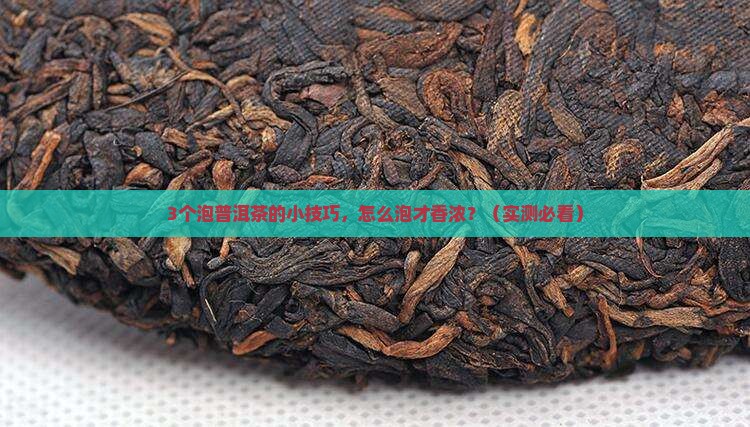 普洱茶怎么泡的香浓一点