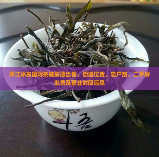 双江冰岛国际茶城