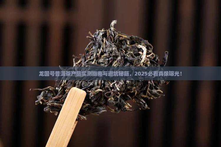 龙国号普洱茶产品