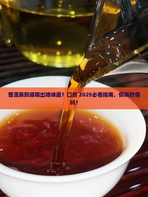 如何介绍普洱茶的口感特点