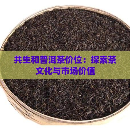 共生和普洱茶价位