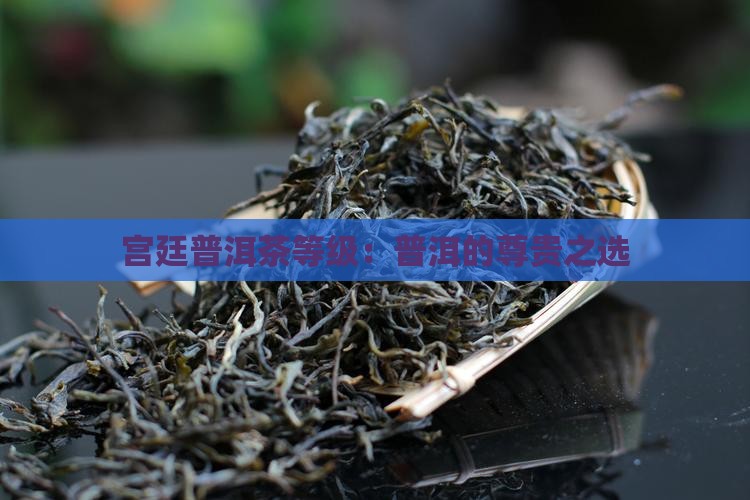 清朝普洱茶等级