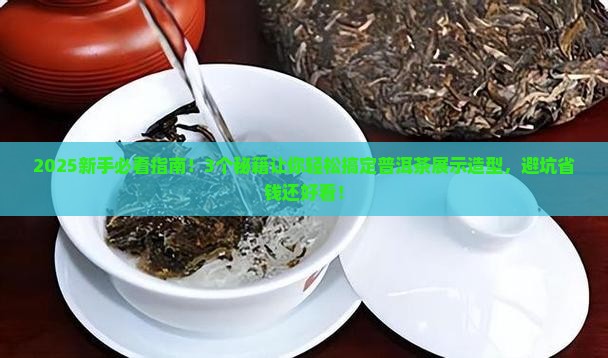 普洱茶展示造型