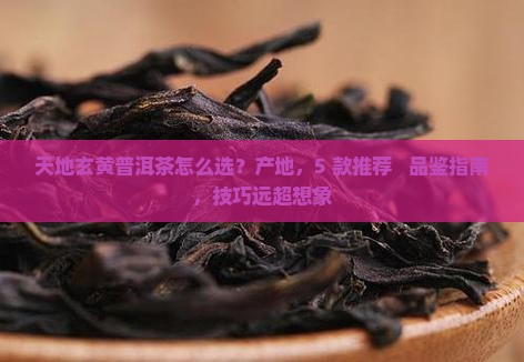 天地玄黄普洱茶