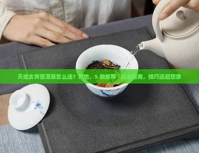 天地玄黄普洱茶