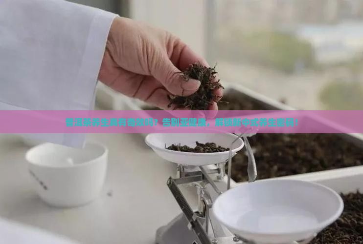 普洱茶养生的意义