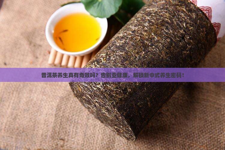 普洱茶养生的意义