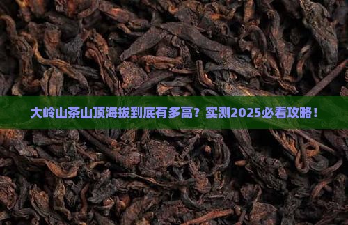 大岭山茶山顶海拔多少米