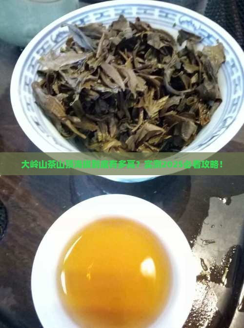 大岭山茶山顶海拔多少米