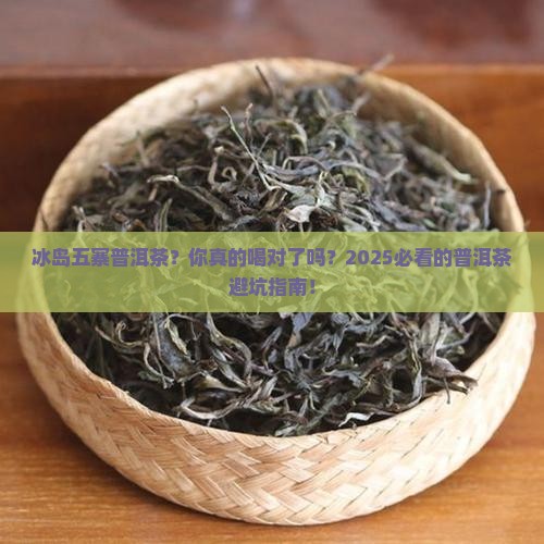 冰岛五寨普洱茶