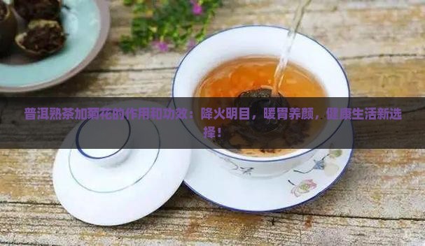 普洱熟茶加菊花的作用和功效