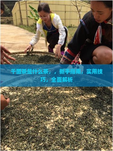 千菌茶是什么茶