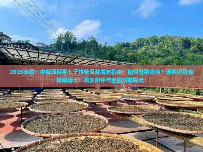 中茶原野香七子饼普洱茶