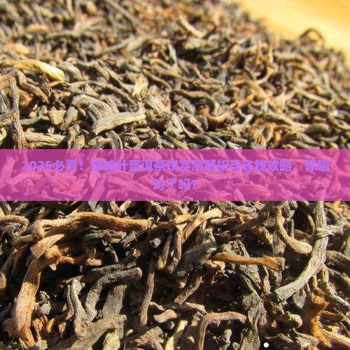 绿神叶普洱茶饼