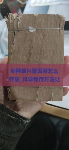 多种单片普洱茶怎么存放
