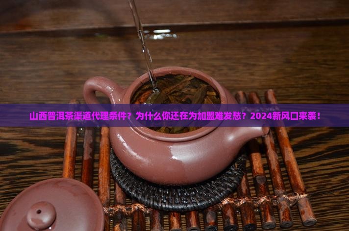 山西普洱茶渠道代理条件