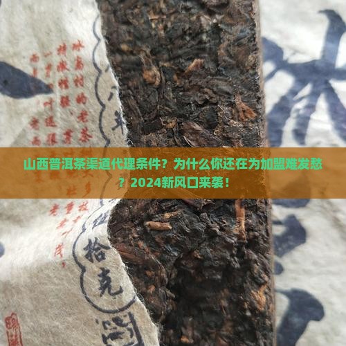 山西普洱茶渠道代理条件