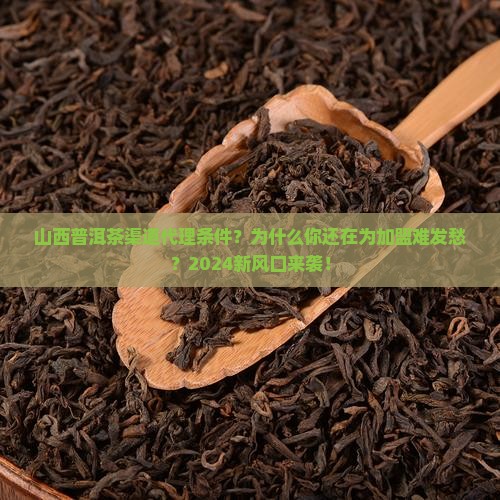 山西普洱茶渠道代理条件