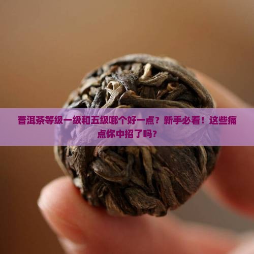 普洱茶等级一级和五级哪个好一点