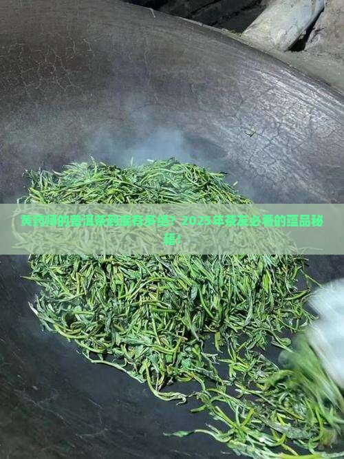 蕴品普洱茶黄药师 蕴品普洱茶黄药师
