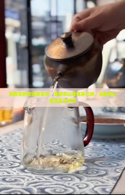 高黎贡的普洱茶怎样