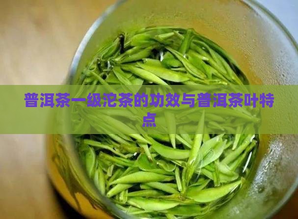 普洱茶一级沱茶的特点和功效