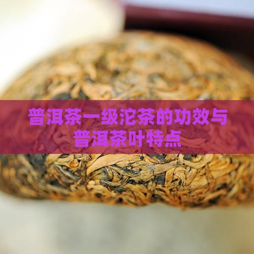 普洱茶一级沱茶的特点和功效