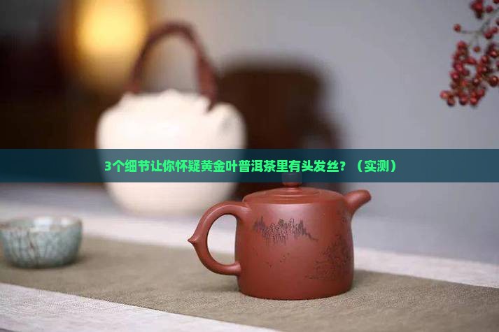 黄金叶普洱茶里有头发丝