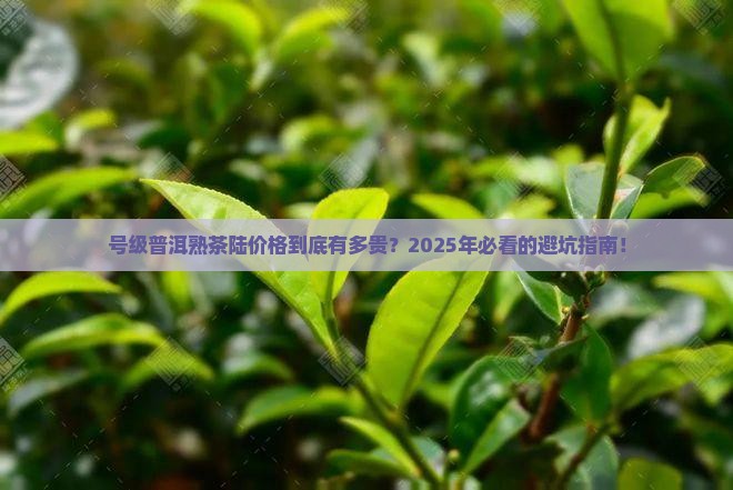 号级普洱茶熟茶陆价格