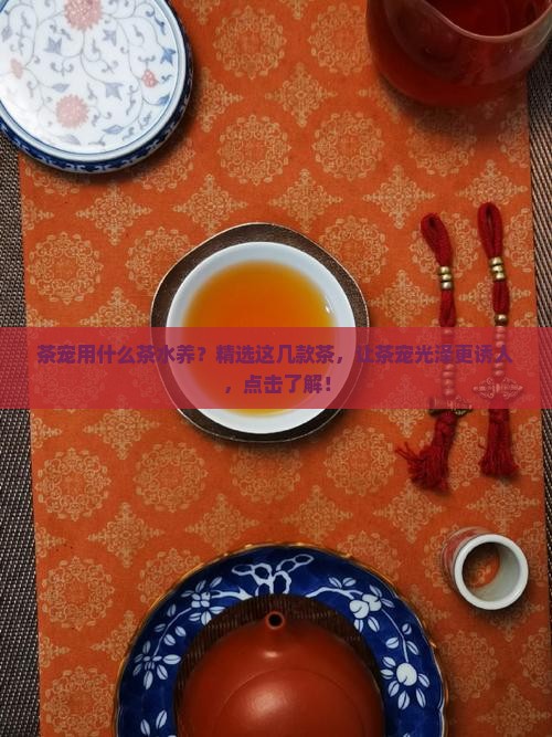 茶宠用什么茶水养