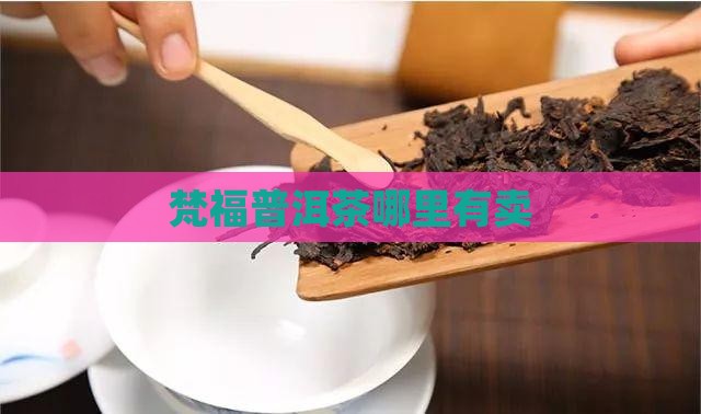 梵福普洱茶哪里有