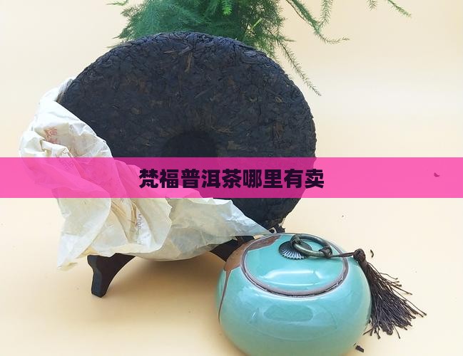 梵福普洱茶哪里有