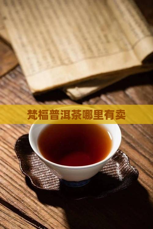 梵福普洱茶哪里有