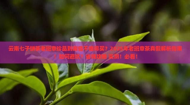 云南七子饼茶老班章珍品