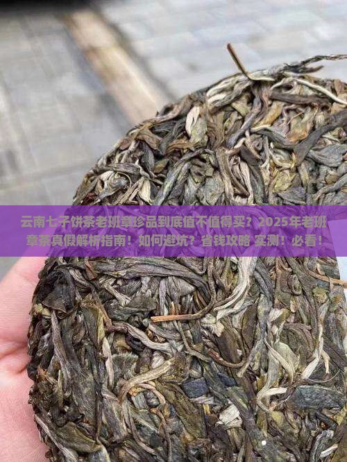 云南七子饼茶老班章珍品